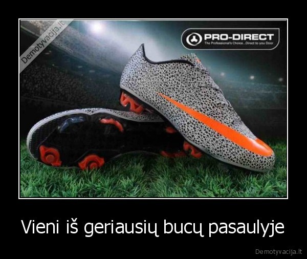 Vieni iš geriausių bucų pasaulyje