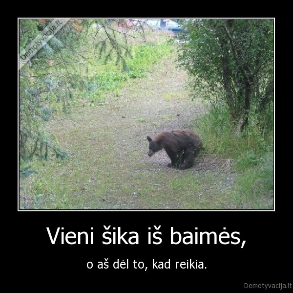 Vieni šika iš baimės,