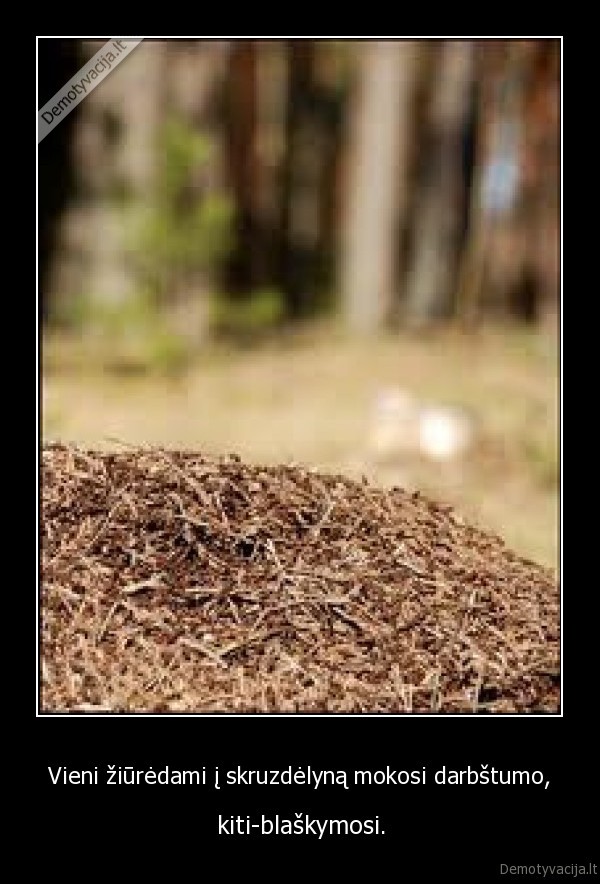 Vieni žiūrėdami į skruzdėlyną mokosi darbštumo,