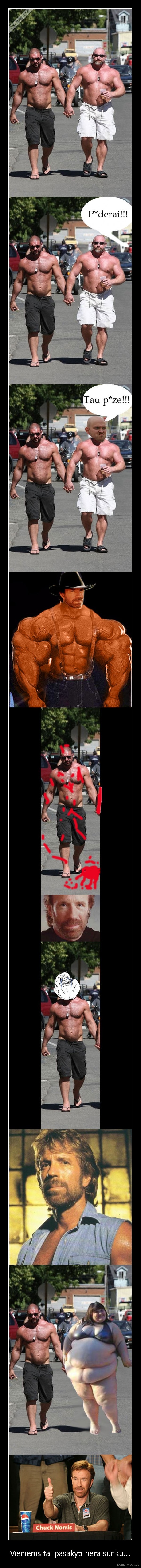 chuck,norrisui,pyderai,labai,nepatinka