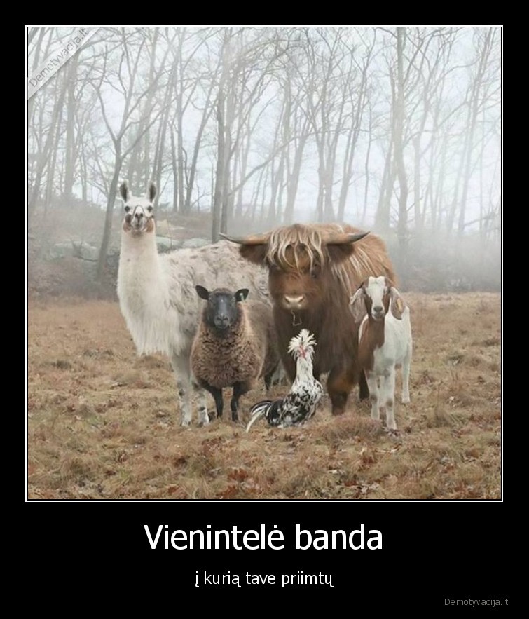 banda,gyvunai,tu