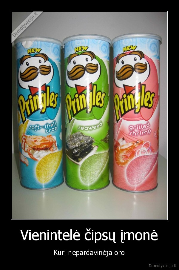 Vienintelė čipsų įmonė