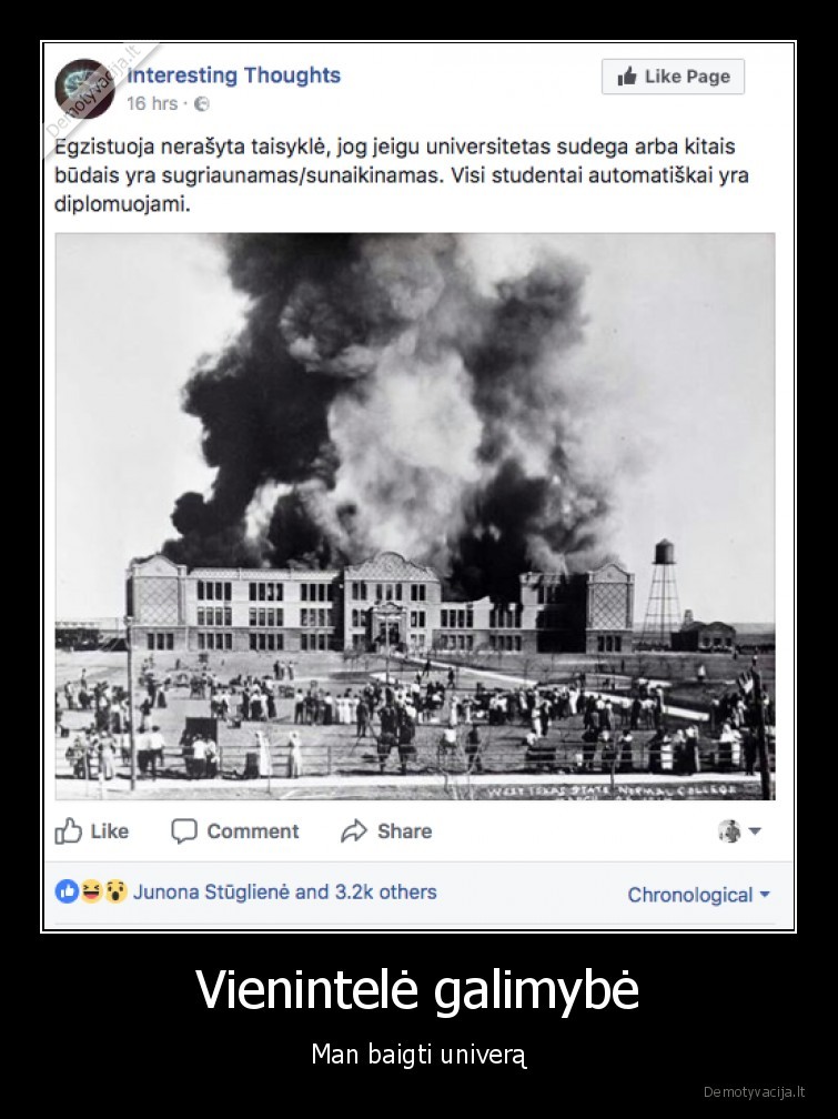 universitetas,diplomas