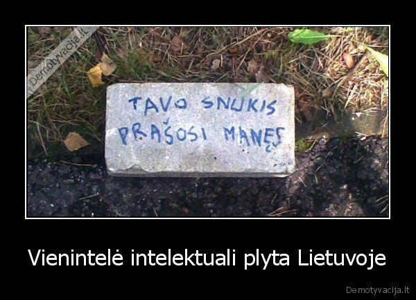 lietuviska, plyta,prasmingi, zodziai,nepaparsta, plyta