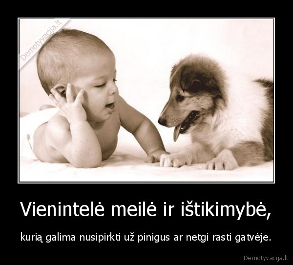 meile,uz, pinigus,istikimybe,suo