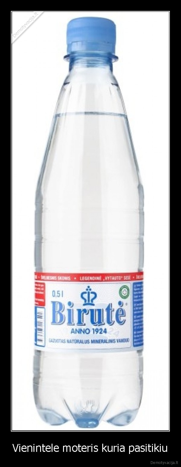 bleha,birute,yra,zjbs