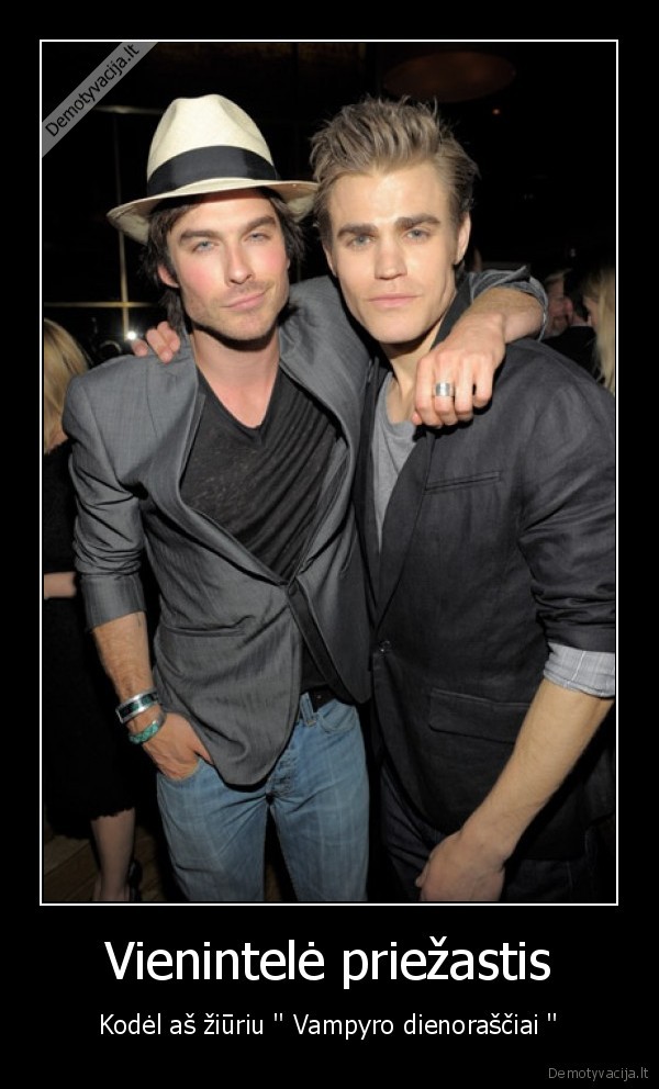 vampire,diares,vampyro,dienorasciai,ian,somerhalder,paul,wesley