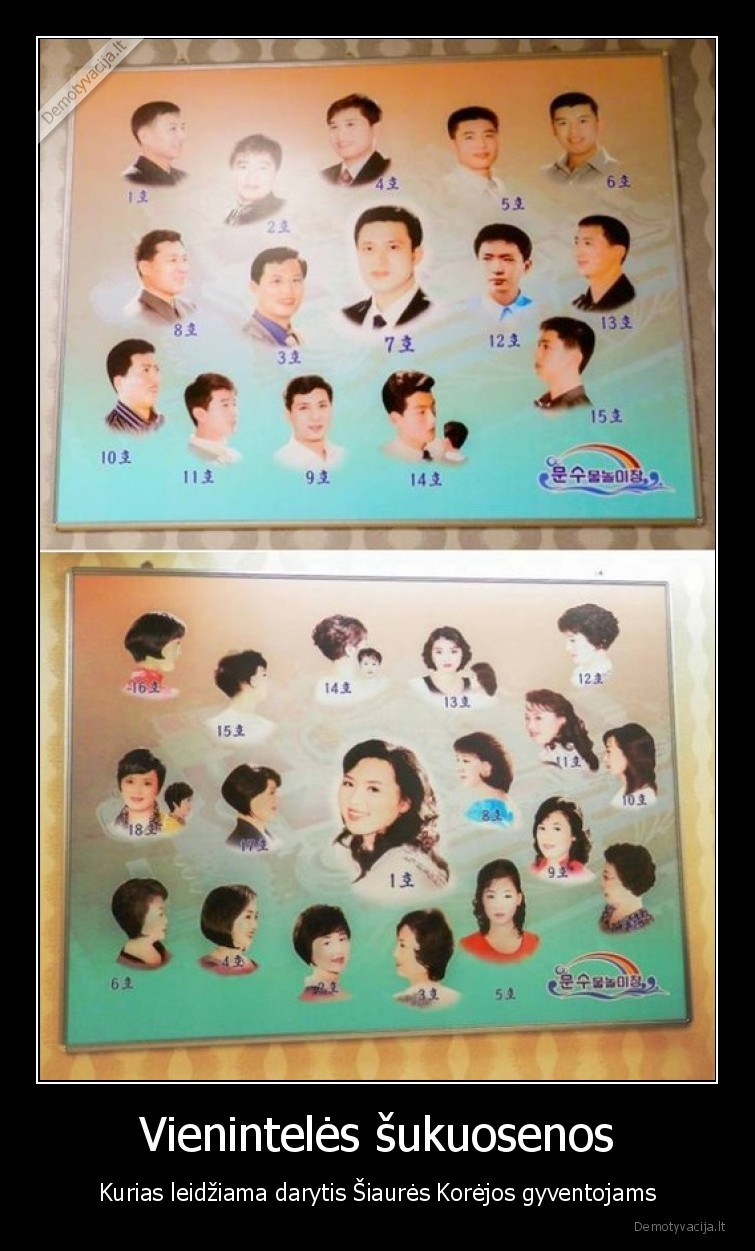 siaures, koreja,sukuosena