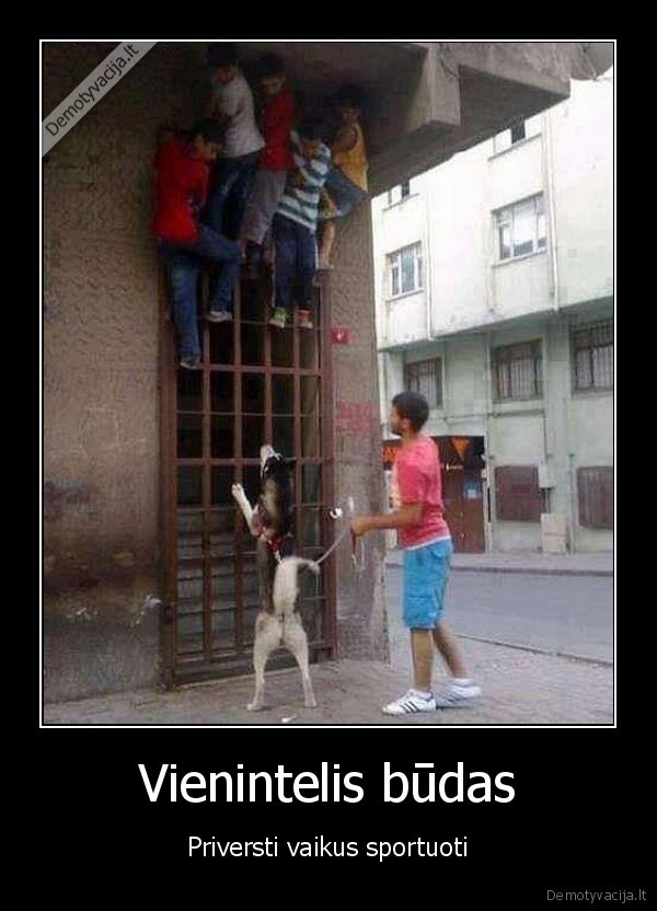 sportas,sportiski, vaikai,sportuojantys, vaikai,suo