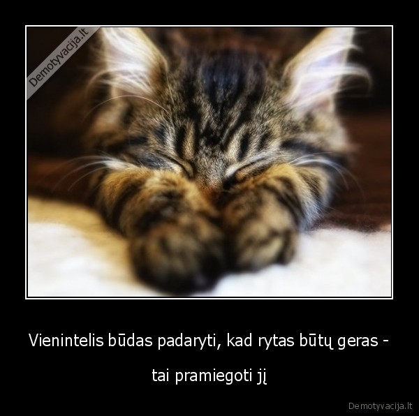 rytas,geras,labas, rytas