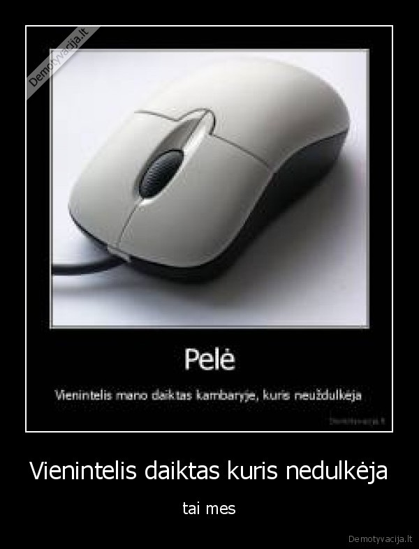 Vienintelis daiktas kuris nedulkėja