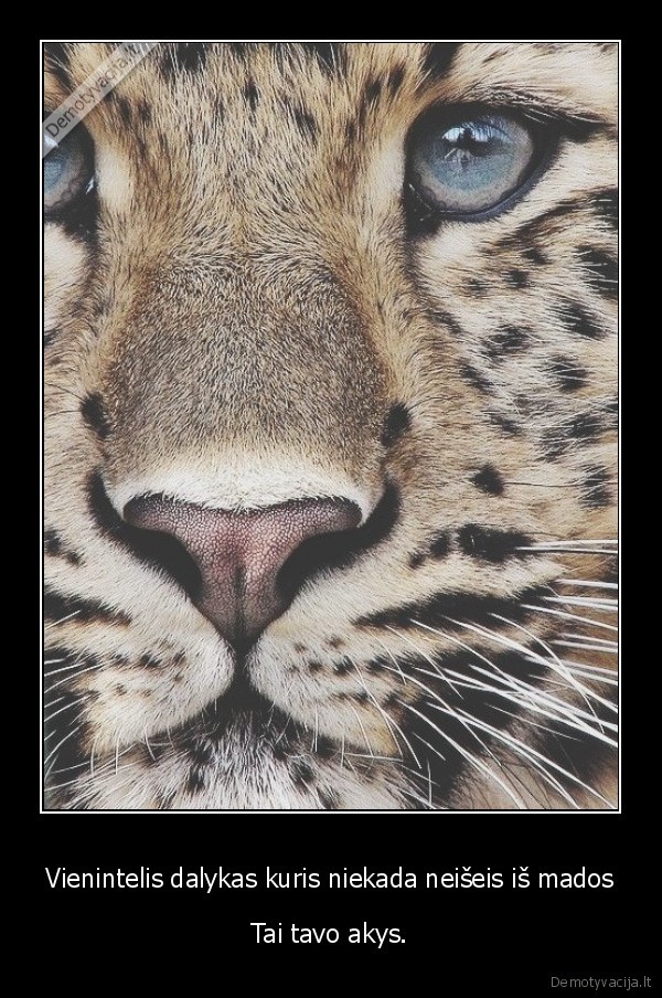 Vienintelis dalykas kuris niekada neišeis iš mados