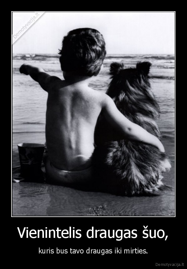 Vienintelis draugas šuo,