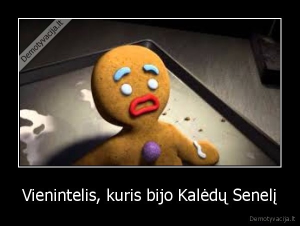 Vienintelis, kuris bijo Kalėdų Senelį