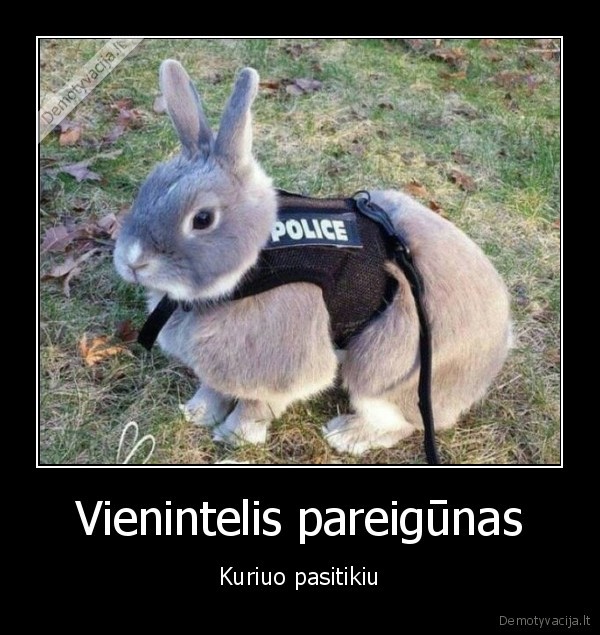 triusis, policininkas