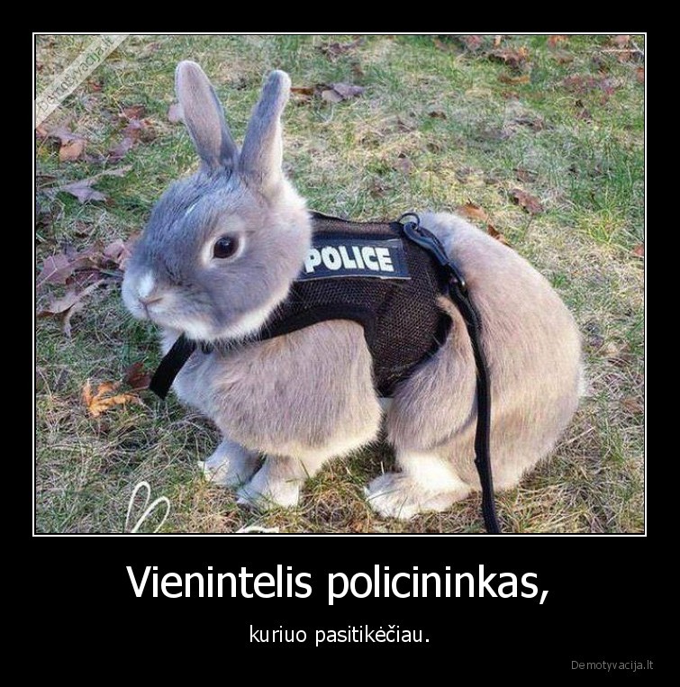 policininkas,zuikis,kiskis