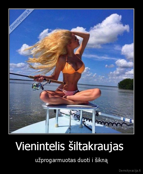 Vienintelis šiltakraujas 