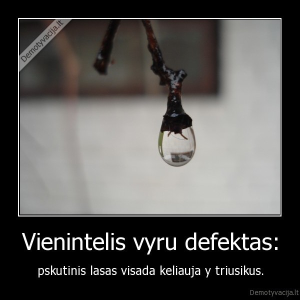 Vienintelis vyru defektas: