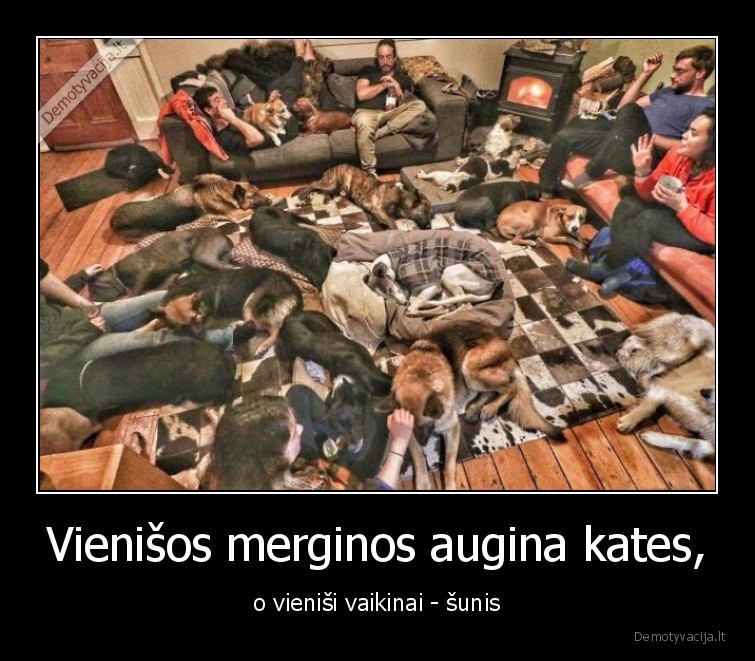 sunys,kates,vienisos,vienisi,vaikinai,merginos