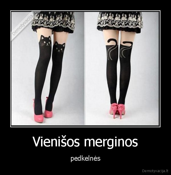 pedkelnes,vienisa,katinas