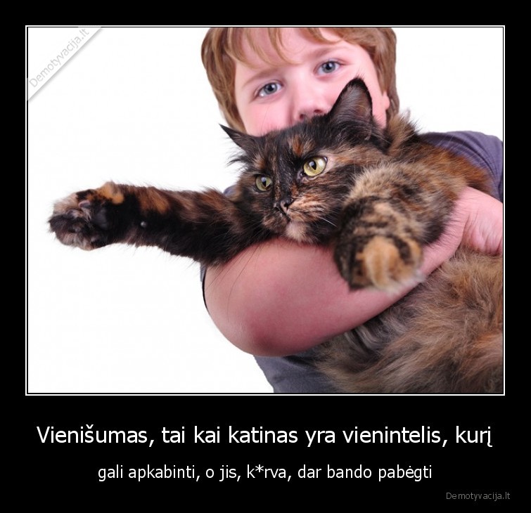 vienisumas,katinas,apkabinti