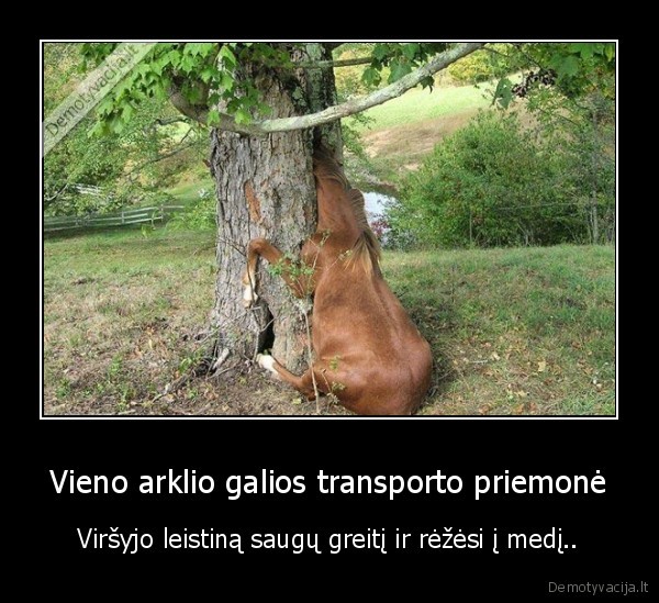 kanopos,vasarines,buvo