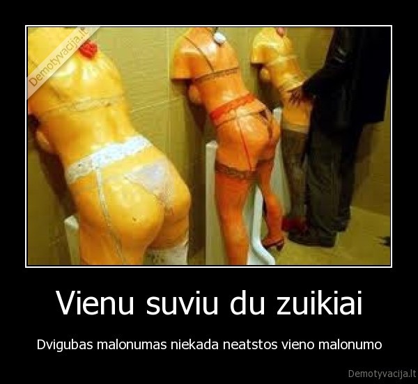 Vienu suviu du zuikiai