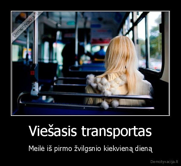 Viešasis transportas