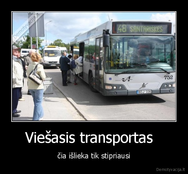 Viešasis transportas  