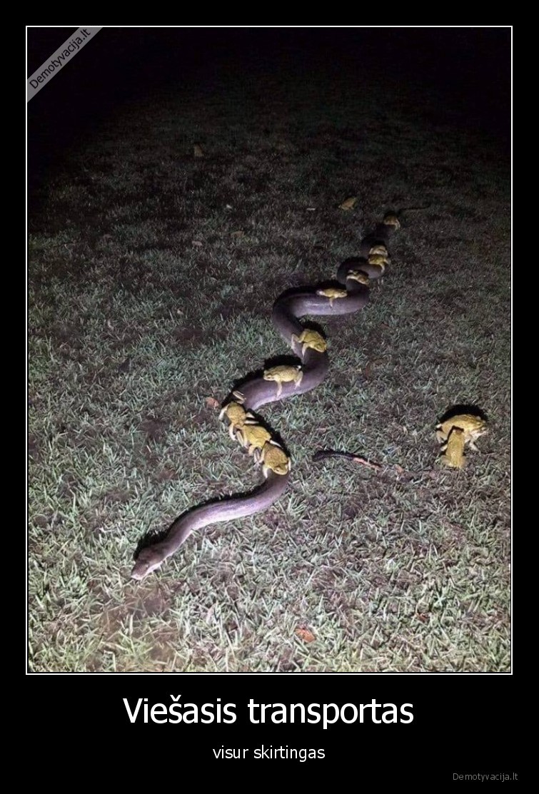 viesasis,transportas,gyvate,varles