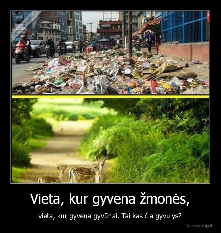 zmones,kiaules,siuksles,gyvunai,gamta