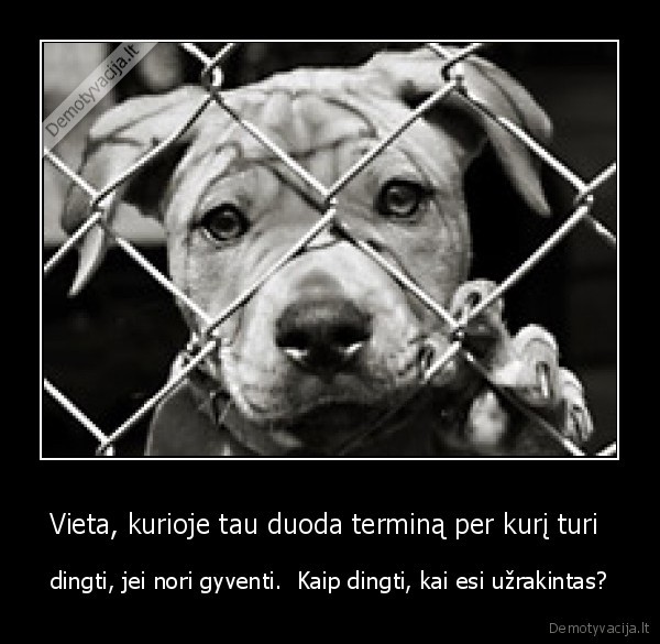 Vieta, kurioje tau duoda terminą per kurį turi 