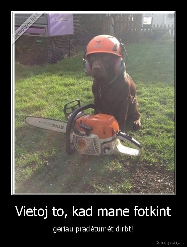 Vietoj to, kad mane fotkint