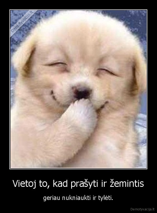 Vietoj to, kad prašyti ir žemintis