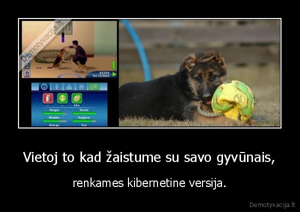 Vietoj to kad žaistume su savo gyvūnais,