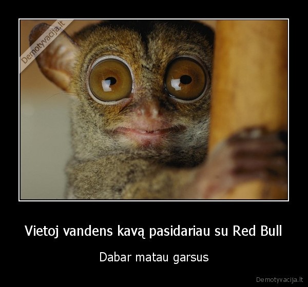 stacios, akys,kofeino, uztaisas