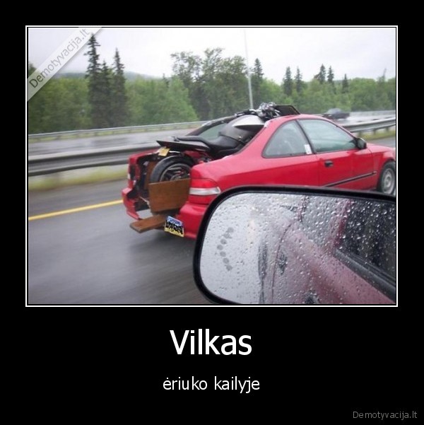 Vilkas