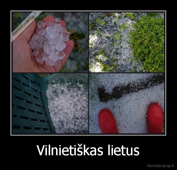 siandien, taip, lijo