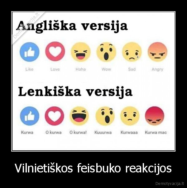 feisbukas,vilnius,reakcijos,anglija,lenkija