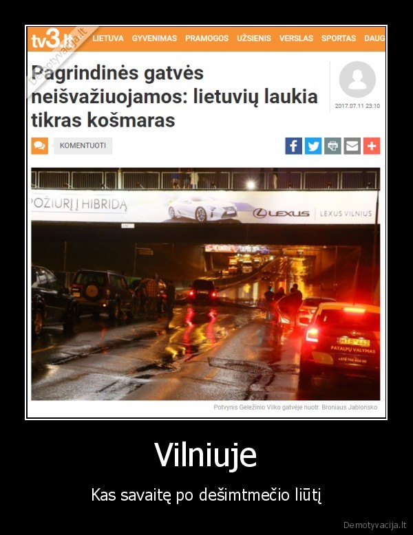 liutis,potvynis