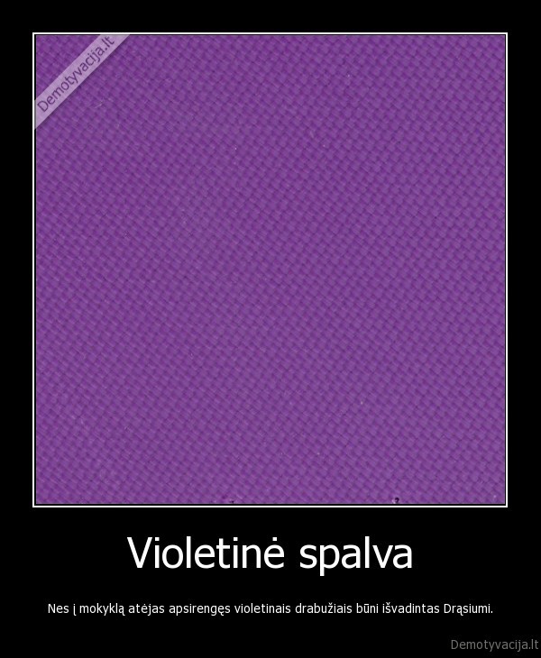 drasius, kedys,violetine