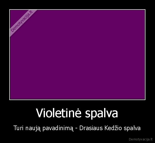 Violetinė spalva