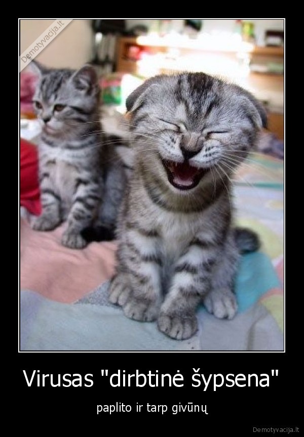 kate, dirbtine, sypsena, virusas