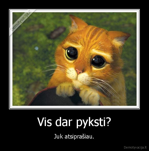 kate,atsiprasimas,sirekas