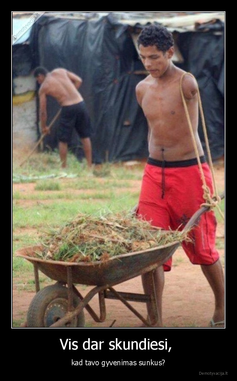 berankis,sunkus,gyvenimas