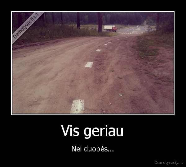 kelias,duobes,zvirkelis