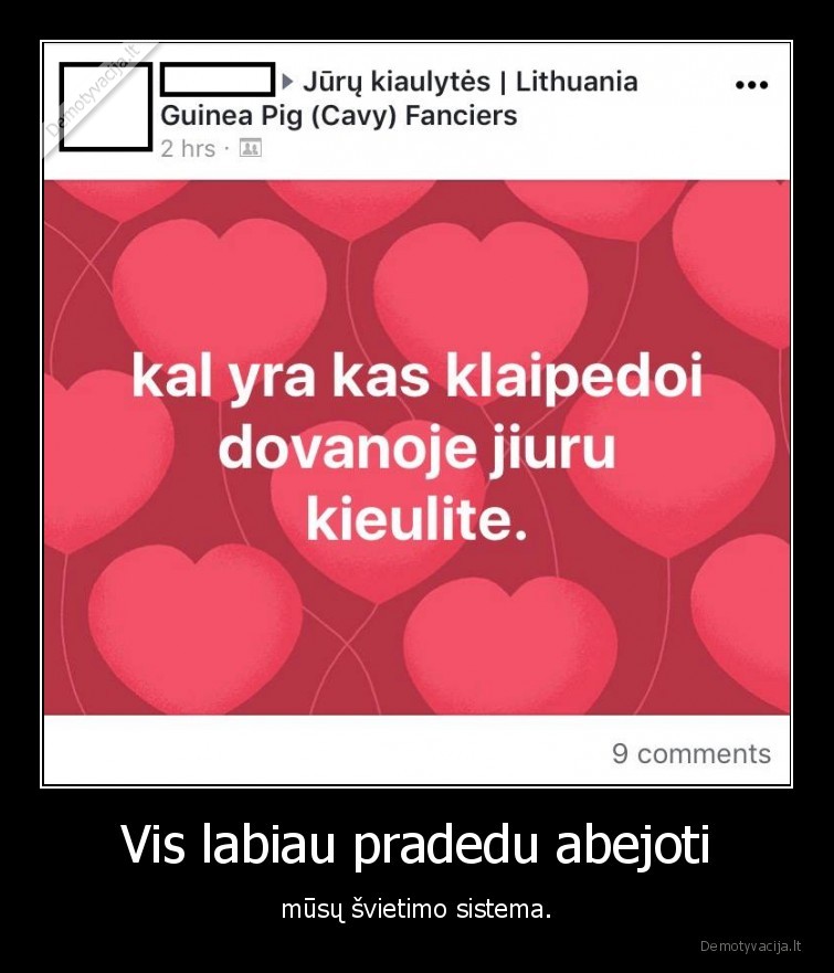 beraste,wtf,kiaulyte