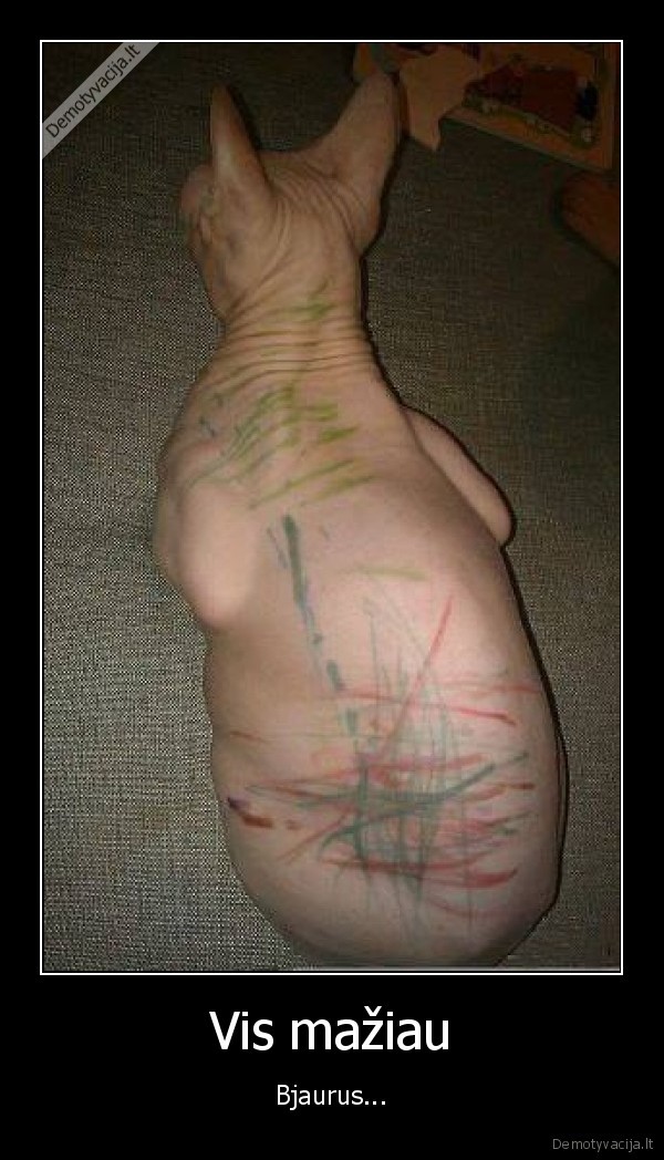 bjaurus, katinas,sfinkso, kate