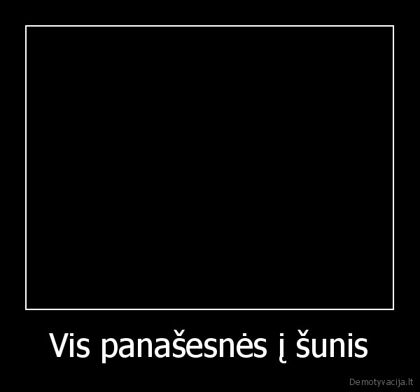 Vis panašesnės į šunis