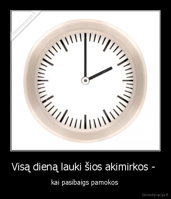 Visą dieną lauki šios akimirkos - 